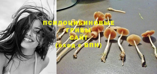 ПСИЛОЦИБИНОВЫЕ ГРИБЫ Балабаново