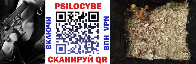 купить  цена  Кущёвская  Псилоцибиновые грибы Psilocybe 