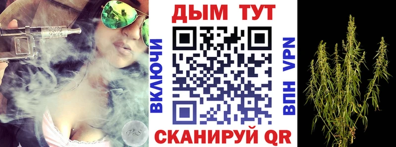 Бошки Шишки марихуана  Кущёвская 